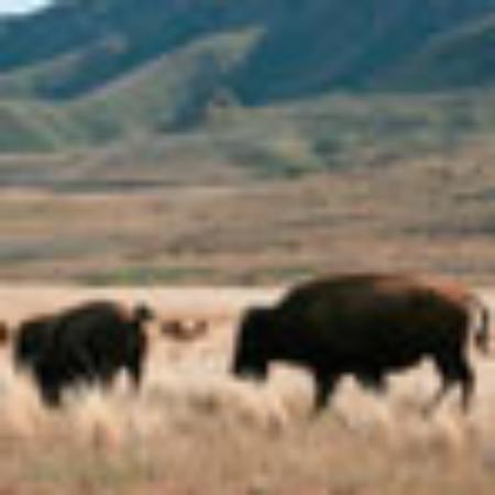 山田ホームレストラン